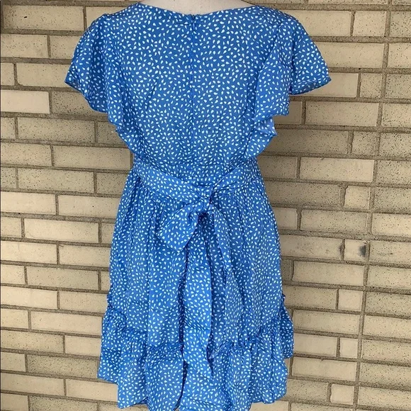 Blue Flutter Sleeve Frill Hemline Trim Dalmatian Dress - Picture 7 of 14